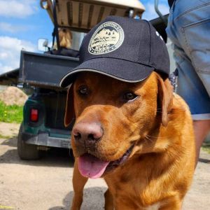 Huettenhof 2023 Mai 28