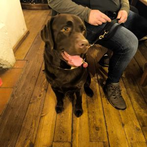 Skiausfahrt 2026 Part5 42