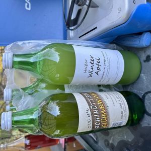 Winterwanderung wccc 2023  009