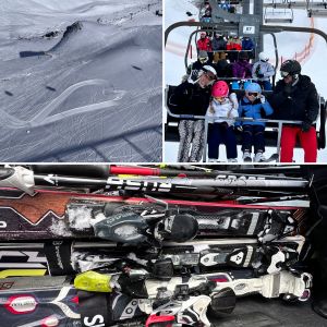Winterausfahrt 2014 Campingplatz Natterer See 06