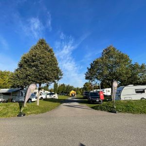 Breitenauer See 2025 35