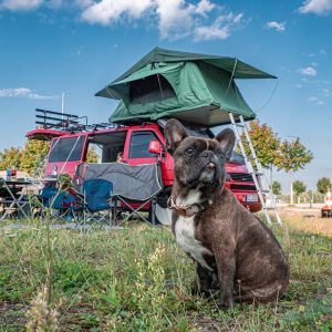 Vanlife Meetup 06