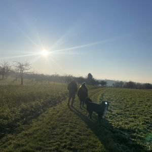 schlechts scheunenbesen 20025 15